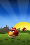 pic for Angry Birds Angry  